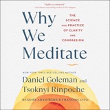Cover of Why We Meditate: The Science and Practice of Clarity and Compassion